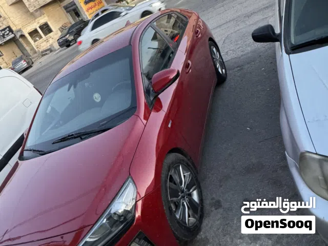 2019, Hyundai, Ioniq, Standard