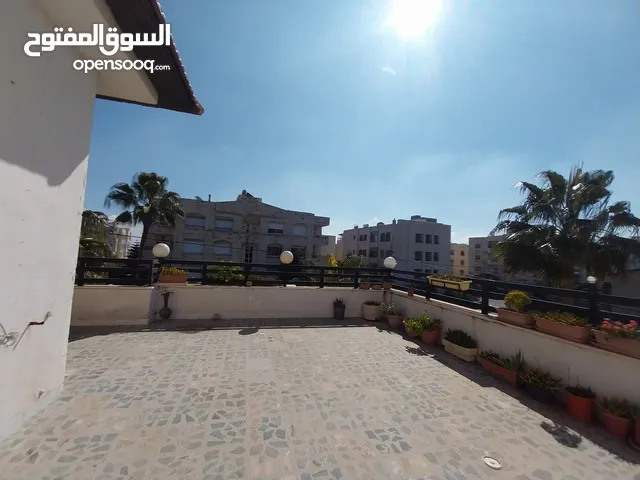 Apartment for rent in al rabieh ( Property 36802 )-174554612