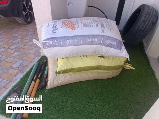 تمر نفيعة سح جداد مخلوط مال السنة والسنة الماضية