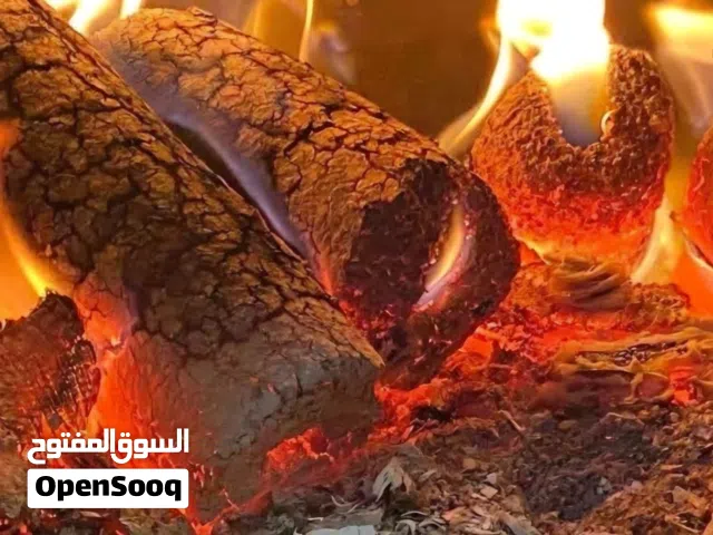 جفت من الزيتون الصافي  للصوبات