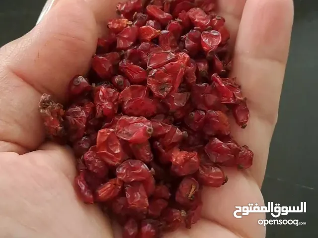 البرباریس الیرانیه