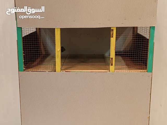 Custom Multi-Pet House – For Cats, Birds & More! بيت حيوانات أليفة مخصص – للقطط والطيور وأكثر!
