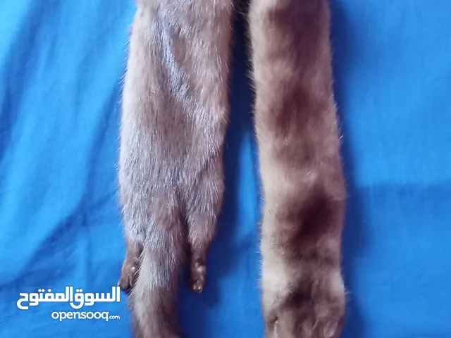 شال أوروبي فرو طبيعي حقيقي لموسم الشتاء و من جلد حقيقي لحيوان الثعلب  موديل 1983 من دولة غوسلافيا