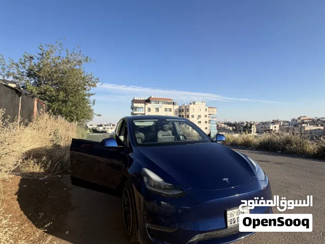 2020 تيسلا موديل Y Long Range