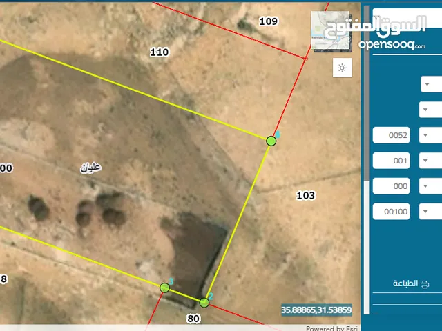 Mixed Use Land for Sale in Amman Jabal Amman