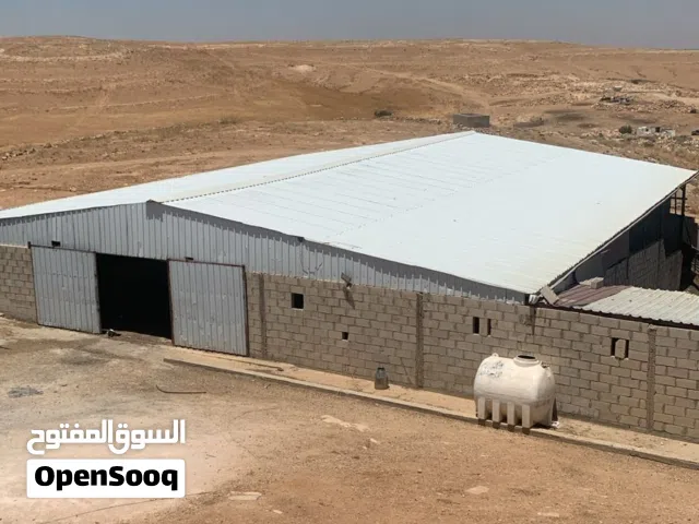 هنجر بركس هنكر