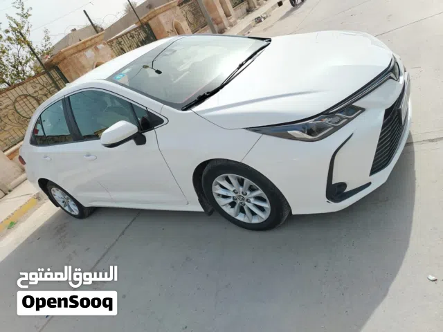 New Toyota Corolla in Baghdad