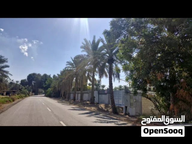 ارض زراعية للاستثمار أو الاجار صحار الخويريه
