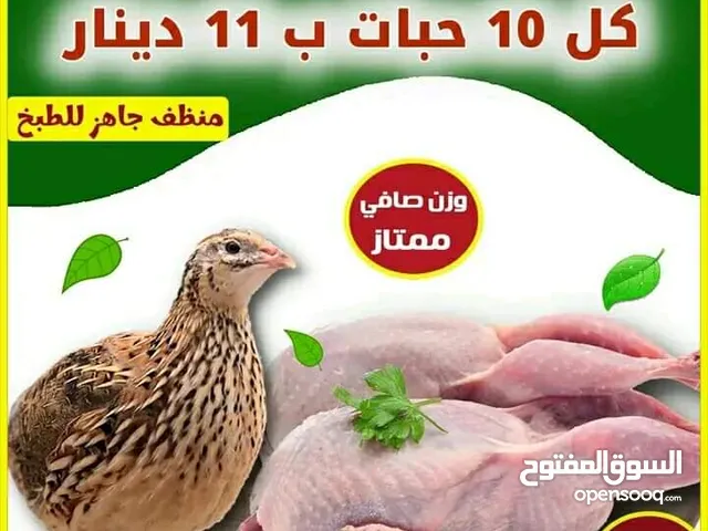 للبيع فري وزغاليل وبط وديك بلدي مذبوح منظف جاهز للطبخ مع خدمة التوصيل