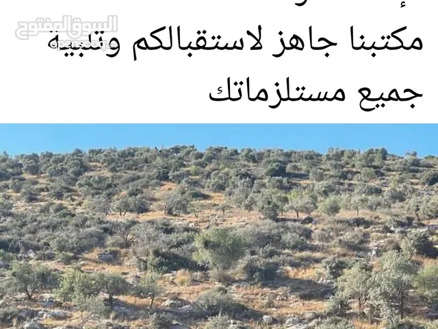Residential Land for Sale in Ramallah and Al-Bireh Bil'in