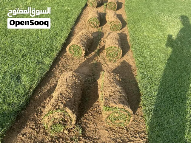 مسطحات خضراء