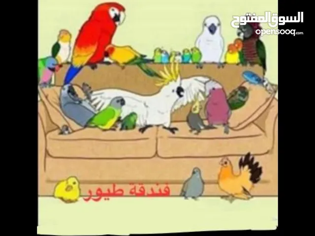 فندق طيور في حي لبن لدي خبرها