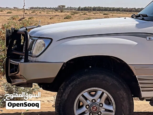 دعامية لاندكلوزر صب فيبر