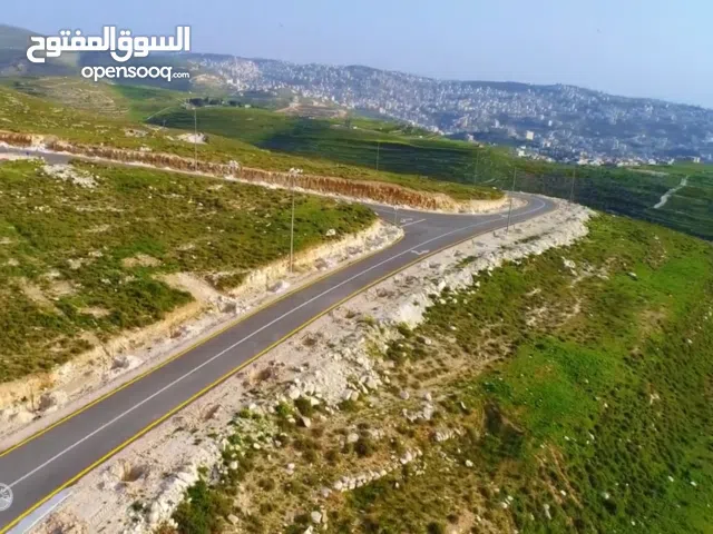 Residential Land for Sale in Nablus Asira Ash-Shamaliya