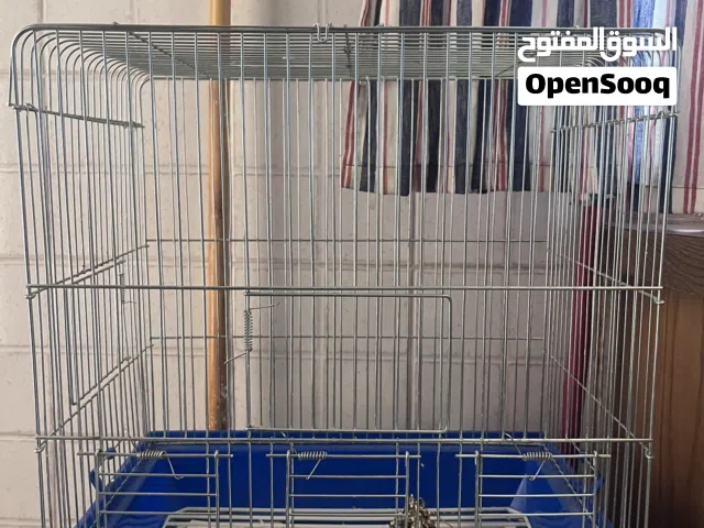 قفص عصفور واكل