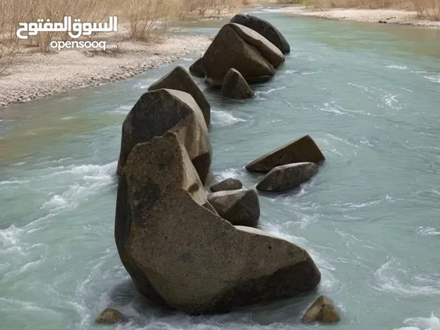فورد اكسبديشن