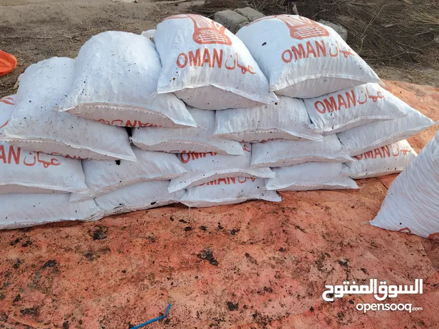 نفيعة تمر 160 جونية انتاج السنة نظيف