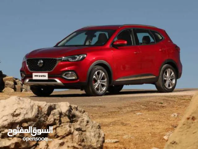 MG EHS مع امكانية التقسيط