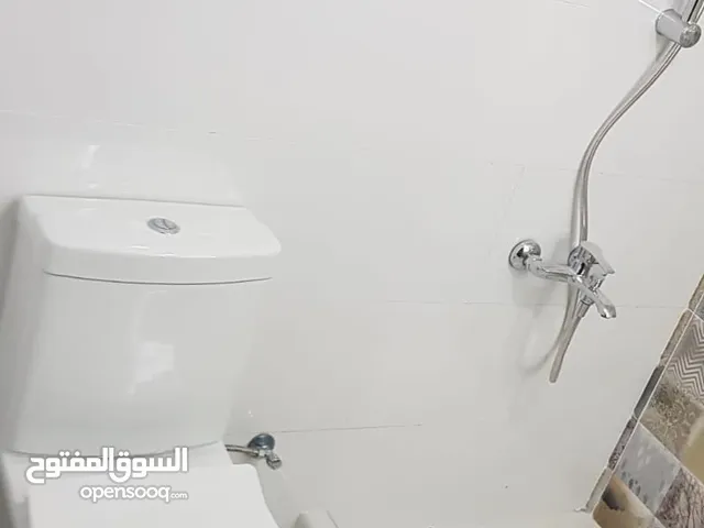 فني سراميك باكستاني