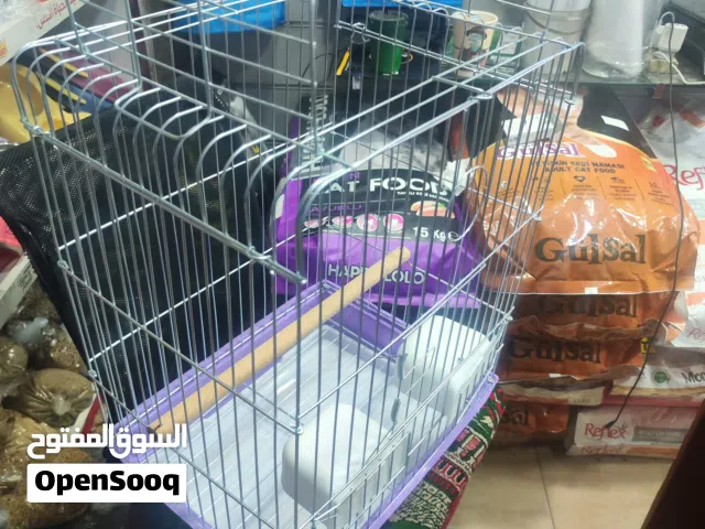 قفص ببغاء مناسب لجميع انواع الطيور كوكتيل كاسكو روز الدره جرين شيك