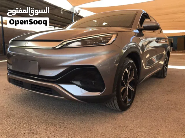 2024, بي واي دي, كين