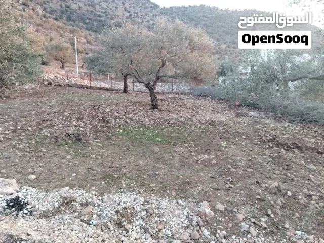 Residential Land for Sale in Ajloun Kuforanja
