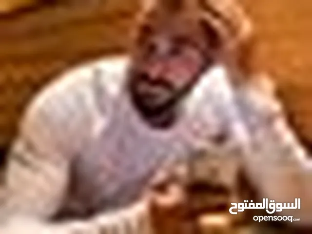 Nader Elkorgle