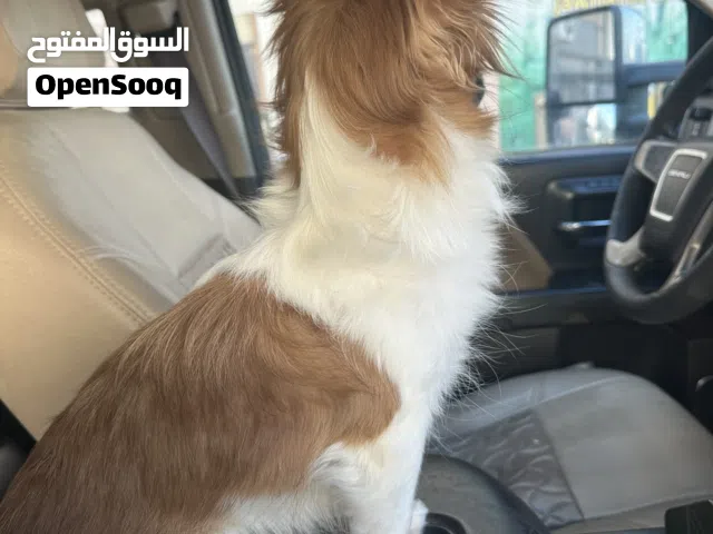 لعوبة و اليفة جداً