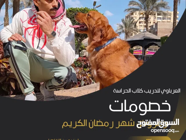 مدرب كلاب حراسة متخصص تدريب الكلاب بالاشارة