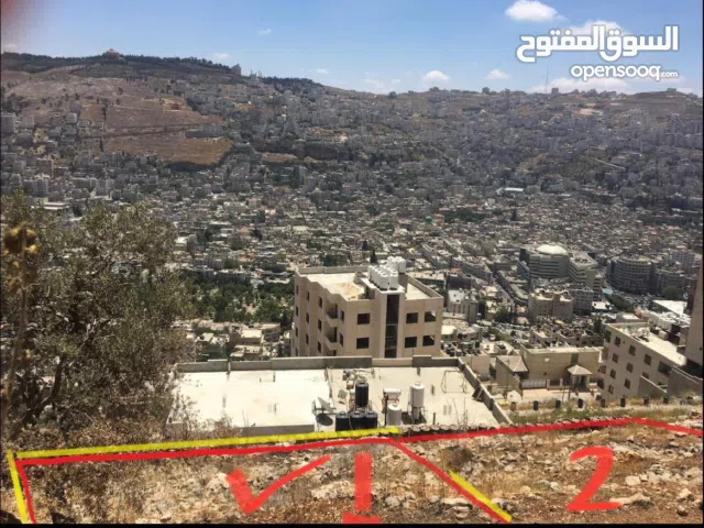 Mixed Use Land for Sale in Nablus Northern Mount