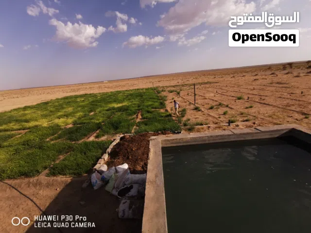 ارض زراعيه للبيع