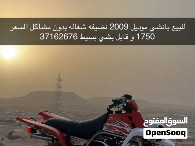 للبيع بانشي