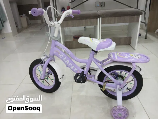 Children's Bicycle (Purple)