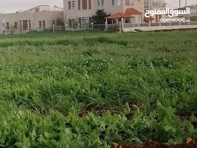 ارض الحصن طبول كوتيه مساحة الأرض 896 ارض مرتفعه ومطله منطقه فلل بعيده عن الاسكانات الموقع على شارعين