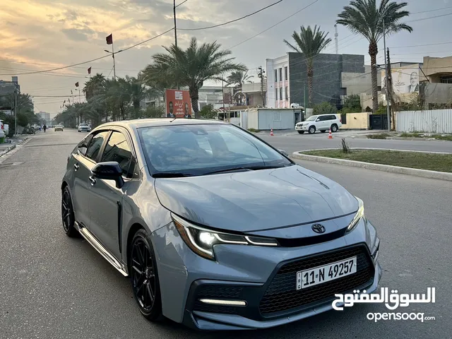 New Toyota Corolla in Baghdad