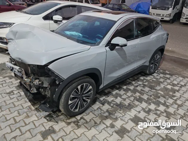 جيتور 2024 داشينج