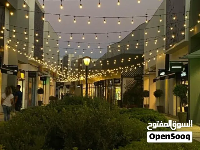 عدد اتنين اسراب ضي
