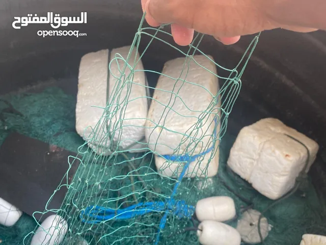 لييوخ عين12