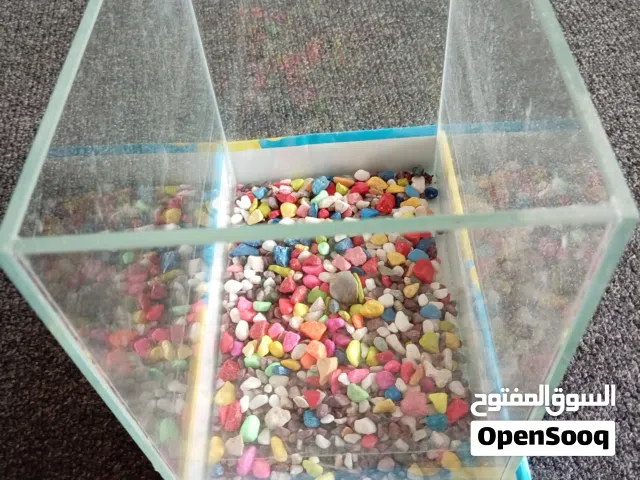 حوض سمك  قزاز ضد الكسر