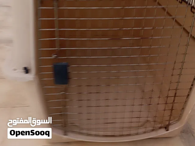 بيت لسكن الكلاب