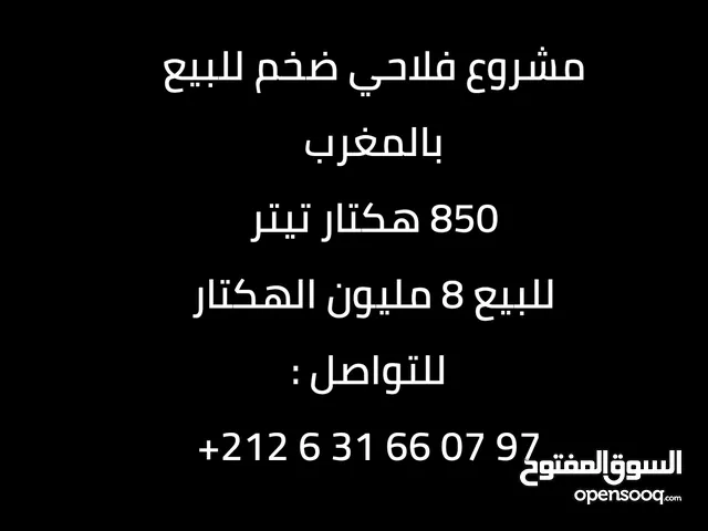 Farm Land for Sale in Settat Other