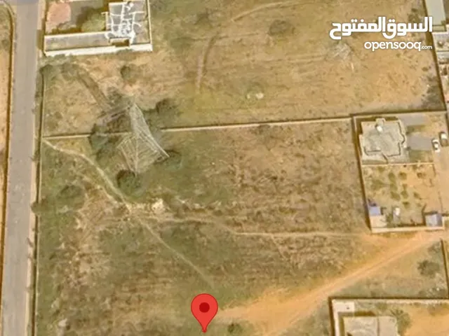 ارض للايجار 9000 متر متوفر فيها ماء
