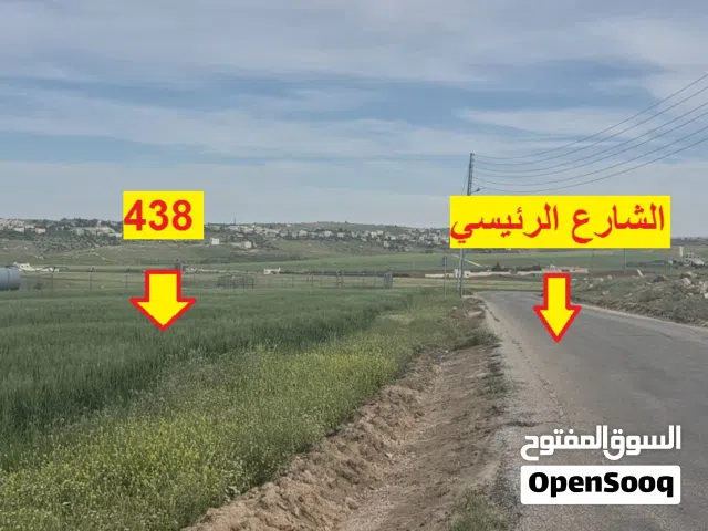 Farm Land for Sale in Madaba Mai'n