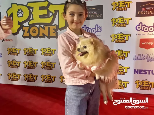 كلبك يبدأ تدريبه من عنا