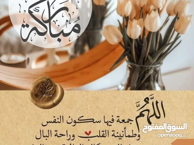 ابحث عن شقه او بيت متواضع للإجار في محافظة  
