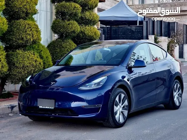 للبيع او البدل او تقسيط دفعة Tesla model y 2023 10000