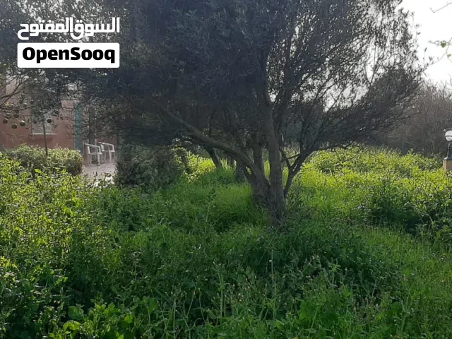 Farm Land for Sale in Casablanca Dar Bouazza