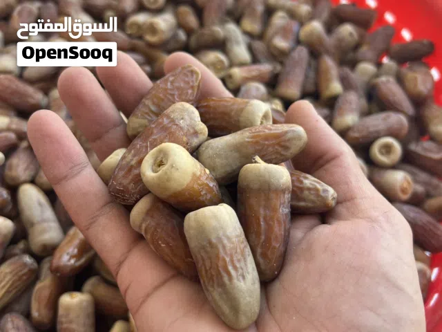 تمر نغال محقب و مقلود ونطيف