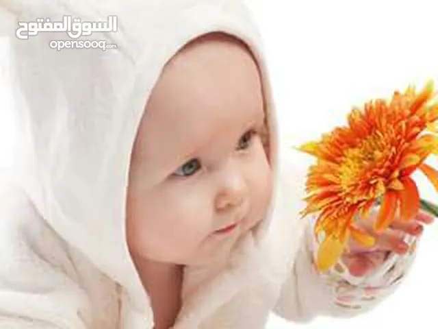 ياسر الديك