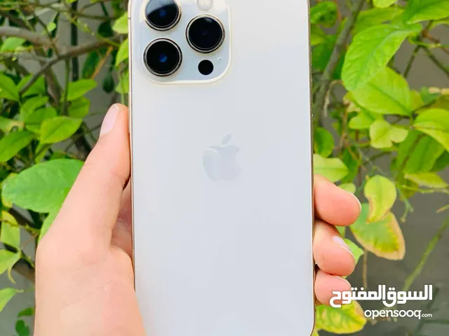 iphone 13 bro للبيع ياغالي تعال قلب وجرب